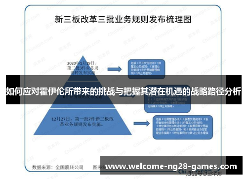 如何应对霍伊伦所带来的挑战与把握其潜在机遇的战略路径分析