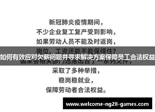 如何有效应对欠薪问题并寻求解决方案保障员工合法权益