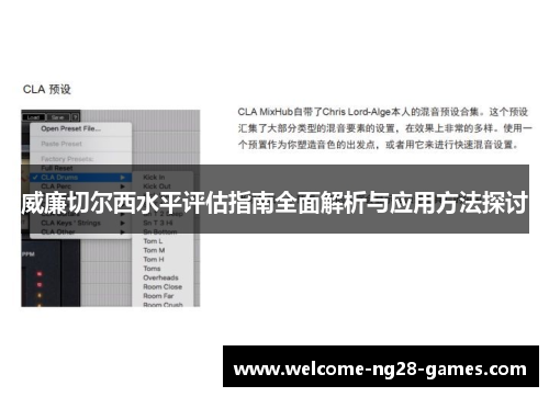 威廉切尔西水平评估指南全面解析与应用方法探讨