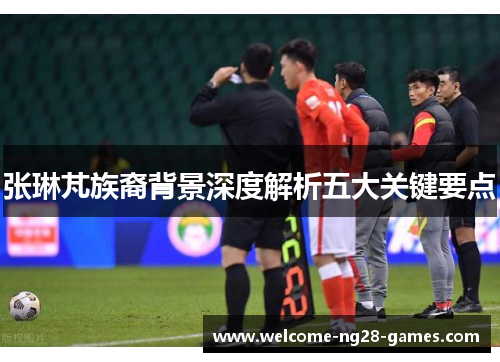 张琳芃族裔背景深度解析五大关键要点