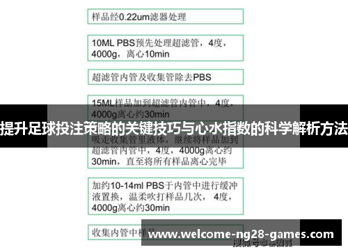 提升足球投注策略的关键技巧与心水指数的科学解析方法