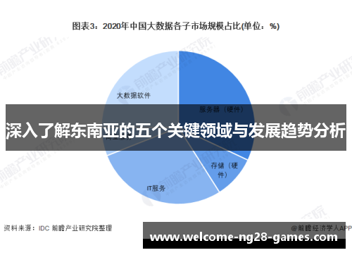 深入了解东南亚的五个关键领域与发展趋势分析