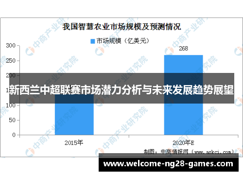 新西兰中超联赛市场潜力分析与未来发展趋势展望