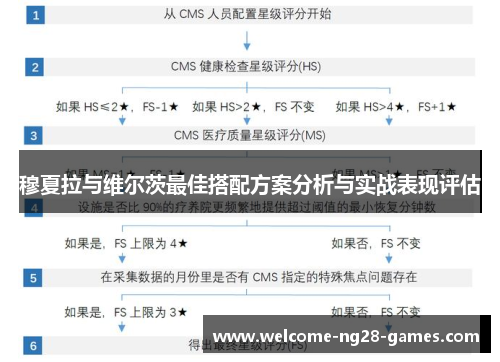 穆夏拉与维尔茨最佳搭配方案分析与实战表现评估
